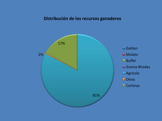 Distribución de los recursos ganaderos




           17%
                                              Gatton
2%                                            Mulato
                                              Buffel
                                              Grama Rhodes
                                              Agricola
                                              Otras
                                              Cortinas

                             81%
 