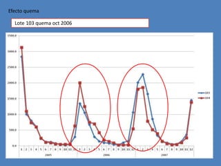 Efecto quema

  Lote 103 quema oct 2006
 