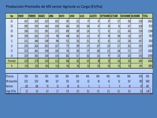 Produccion Promedio de MS sector Agrícola vs Carga (EV/ha)

     Has ENERO FEBRERO MARZO ABRIL          MAYO          JUNIO          JULIO       AGOSTO SEPTIEMBRE OCTUBRE NOVIEMBRE DICIEMBRE TOTAL
     D1       2412   2422   1623     1031          595            215             97        67       87      127     358         1528    10561
     D2       2092   1935   1462     1030          606            250            106        67       69        81    417         1618     9732
     D3       2306   2512   1891     1371          809            289            126        71       81      111     456         1559    11580
     D4       1959   1822   1170      780          448            203            115        87       99      109     119         1027     7937
      J1      2151   1846   1390      996          552            236            151        81       82      113     236         1457     9292
      J2      2255   2624   2022     1327          775            299            175       107     110       117     201         1391    11403
      J3      2253   2661   1938     1282          745            290            175       108     115       146     571         1737    12022
      J4      2329   2401   1504     1156          802            317            182       116       97      124     320         1353    10700
  Promedio    2220   2278   1625     1122          666            262            141        88       92      116     335         1459    10404
      %       21%    22%    16%      11%           6%             3%             1%        1%       1%        1%      3%         14%     100%

Eficiencia      55%    55%    55%    55%           50%            45%            45%      45%      45%      45%       50%        55% 50%
MS disponible   1221   1253    894    617           333            118             63       40       42       52       167        802 5602
Raciones         102    104     74     51            28             10              5        3        3        4        14         67 467
Carga EV/ha      3,3    3,4    2,4    1,7           0,9            0,3            0,2      0,1      0,1      0,1       0,5        2,2 1,28
 