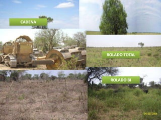 CADENA




         ROLADO TOTAL




          ROLADO BI
 