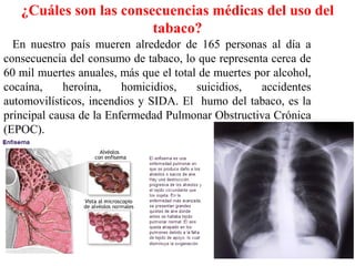 ¿Cuáles son las consecuencias médicas del uso del
                        tabaco?
  En nuestro país mueren alrededor de 165 personas al día a
consecuencia del consumo de tabaco, lo que representa cerca de
60 mil muertes anuales, más que el total de muertes por alcohol,
cocaína,     heroína,    homicidios,    suicidios,   accidentes
automovilísticos, incendios y SIDA. El humo del tabaco, es la
principal causa de la Enfermedad Pulmonar Obstructiva Crónica
(EPOC).
 