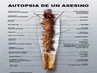 Desinfectante
Hidrocarburo liberado en la fermentación de
las mantecas rancias




                         Termoplástico
 