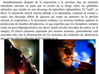 Inmediatamente después de la exposición a la nicotina, hay un estímulo
inmediato causado en parte por la acción de la droga sobre las glándulas
adrenales que resulta en una descarga de epinefrina (adrenalina). El "rush", es
decir, la sensación inicial intensa debido a la adrenalina, estimula al cuerpo y
causa una descarga súbita de glucosa así como un aumento en la presión
arterial, la respiración y la frecuencia cardiaca. La nicotina también suprime la
producción de insulina del páncreas, lo que significa que los fumadores siempre
están un poco hiperglucémicos (es decir, tienen niveles elevados de azúcar en la
sangre). El efecto calmante reportado por muchos usuarios, generalmente está
asociado más con la disminución de los síntomas del síndrome de abstinencia
que con los efectos directos de la nicotina en sí.
 