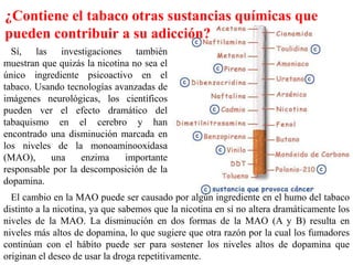 ¿Contiene el tabaco otras sustancias químicas que
pueden contribuir a su adicción?
  Sí, las investigaciones también
muestran que quizás la nicotina no sea el
único ingrediente psicoactivo en el
tabaco. Usando tecnologías avanzadas de
imágenes neurológicas, los científicos
pueden ver el efecto dramático del
tabaquismo en el cerebro y han
encontrado una disminución marcada en
los niveles de la monoaminooxidasa
(MAO),     una     enzima     importante
responsable por la descomposición de la
dopamina.
  El cambio en la MAO puede ser causado por algún ingrediente en el humo del tabaco
distinto a la nicotina, ya que sabemos que la nicotina en sí no altera dramáticamente los
niveles de la MAO. La disminución en dos formas de la MAO (A y B) resulta en
niveles más altos de dopamina, lo que sugiere que otra razón por la cual los fumadores
continúan con el hábito puede ser para sostener los niveles altos de dopamina que
originan el deseo de usar la droga repetitivamente.
 