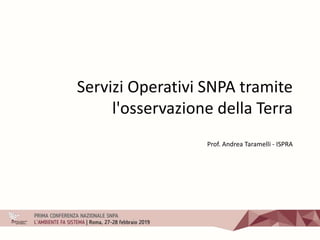 Servizi Operativi SNPA tramite
l'osservazione della Terra
Prof. Andrea Taramelli - ISPRA
 