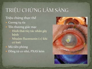 Triệu chứng thực thể
 Cương tụ rìa
 Tổn thương giác mạc
 Hình thái tùy tác nhân gây
bệnh
 Nhuộm fluorescein (+) khi
có loét
 Mủ tiền phòng
 Đồng tử co nhỏ, PXAS kém
 