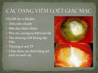 VLGM do vi khuẩn
 Diễn tiến nhanh
 Mắt đau nhức nhiều
 Phù mi, cương tụ KM toàn bộ
 Tổn thương GM không đặc
hiệu
 Thường ít mủ TP
 Chẩn đoán xác định bằng soi
tươi và nuôi cấy
 