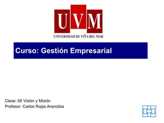 Curso: Gestión Empresarial Clase: 05 Visión y Misión Profesor: Carlos Rojas Arancibia 