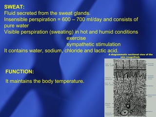 Skin Sweating Function Physiology of body fluids | PPT