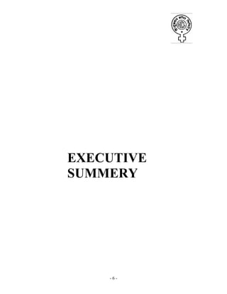- 6 -
EXECUTIVE
SUMMERY
 