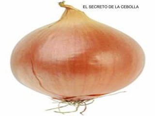 EL SECRETO DE LA CEBOLLA
 