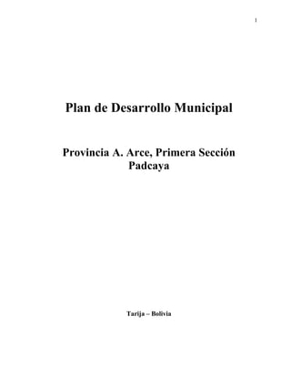 1




Plan de Desarrollo Municipal


Provincia A. Arce, Primera Sección
             Padcaya




            Tarija – Bolivia
 
