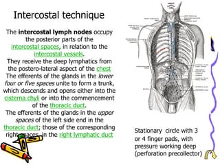 The intercostal lymph nodes occupy
the posterior parts of the
intercostal spaces, in relation to the
intercostal vessels.
They receive the deep lymphatics from
the postero-lateral aspect of the chest
The efferents of the glands in the lower
four or five spaces unite to form a trunk,
which descends and opens either into the
cisterna chyli or into the commencement
of the thoracic duct.
The efferents of the glands in the upper
spaces of the left side end in the
thoracic duct; those of the corresponding
right spaces, in the right lymphatic duct
Intercostal technique
Stationary circle with 3
or 4 finger pads, with
pressure working deep
(perforation precollector)
 