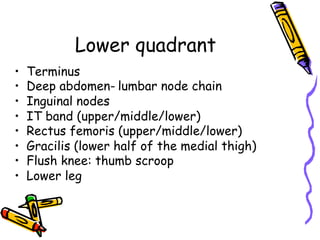 Lower quadrant
•  Terminus
•  Deep abdomen- lumbar node chain
•  Inguinal nodes
•  IT band (upper/middle/lower)
•  Rectus femoris (upper/middle/lower)
•  Gracilis (lower half of the medial thigh)
•  Flush knee: thumb scroop
•  Lower leg
 