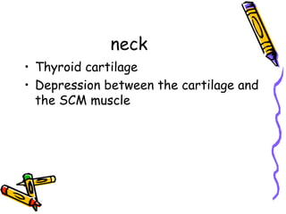 neck
•  Thyroid cartilage
•  Depression between the cartilage and
the SCM muscle
 