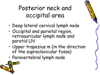 Posterior neck and
occipital area
•  Deep lateral cervical lymph node
•  Occipital and parietal region,
retroauricular lymph node and
parotid LN
•  Upper trapezius m (in the direction
of the supraclavicular fossa)
•  Paravertebral lymph node
 