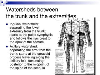 Watersheds between
the trunk and the extremities
n  Inguinal watershed:
separating the lower
extremity from the trunk;
starts at the pubic symphysis
and follows the iliac crest to
the apex of the sacrum
n  Axillary watershed:
separating the arm from the
trunk; starts at the coracoid
process traveling along the
axillary fold, continuing
posterior to the midpoint of
the spine of the scapula
 