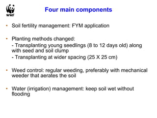 Four main components <ul><li>Soil fertility management: FYM application </li></ul><ul><li>Planting methods changed: </li><...