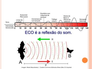 ECO é a reflexão do som.
FÍSICA, 2º ANO
Tópico – ONDAS SONORAS
E EFEITO DOPPLER
0 10 20 30 40 50 60 70 80 90 100 110 120 130 140
Sons
Intensidade
Sonora (db)
Limiar de
audição
Sussurose
Riso suave
Conversas em
Lar tranquilo
Escritório com
máquinas de
escrever
Tráfego
urbano
Sirene de
Barco e
Oficina de
calderaria
Sensação
dolorosa
Imagem: Marek Mazurkiewicz / Creative Commons Attribution-Share Alike 3.0 Unported.
 