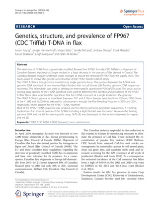 RESEARCH Open Access
Genetics, structure, and prevalence of FP967
(CDC Triffid) T-DNA in flax
Lester Young1
, Joseph Hammerlindl2
, Vivijan Babic2
, Jamille McLeod2
, Andrew Sharpe2
, Chad Matsalla2
,
Faouzi Bekkaoui2
, Leigh Marquess3
and Helen M Booker1*
Abstract
The detection of T-DNA from a genetically modified flaxseed line (FP967, formally CDC Triffid) in a shipment of
Canadian flaxseed exported to Europe resulted in a large decrease in the amount of flax planted in Canada. The
Canadian flaxseed industry undertook major changes to ensure the removal of FP967 from the supply chain. This
study aimed to resolve the genetics and structure of the FP967 transfer DNA (T-DNA).
The FP967 T-DNA is thought to be inserted in at single genomic locus. The junction between the T-DNA and
genomic DNA consisted of two inverted Right Borders with no Left Border (LB) flanking genomic DNA sequences
recovered. This information was used to develop an event-specific quantitative PCR (qPCR) assay. This assay and an
existing assay specific to the T-DNA construct were used to determine the genetics and prevalence of the FP967
T-DNA. These data supported the hypothesis that the T-DNA is present at a single location in the genome.
The FP967 T-DNA is present at a low level (between 0.01 and 0.1%) in breeder seed lots from 2009 and 2010. None
of the 11,000 and 16,000 lines selected for advancement through the Flax Breeding Program in 2010 and 2011,
respectively, tested positive for the FP967 T-DNA, however.
Most of the FP967 T-DNA sequence was resolved via PCR cloning and next generation sequencing. A 3,720 bp
duplication of an internal portion of the T-DNA (including a Right Border) was discovered between the flanking
genomic DNA and the LB. An event-specific assay, SAT2-LB, was developed for the junction between this repeat
and the LB.
Keywords: FP967; CDC Triffid; T-DNA; Flaxseed; Linum usitatissimum
Introduction
In April 2009, transgenic flaxseed was detected in two
5,000 tonne shipments of flax during preprocessing in
Europe (Flax Council of Canada 2009a). Shipments of
Canadian flax have also tested positive for transgenes in
Japan and Brazil (Flax Council of Canada 2009b). The
EU and these countries have regulations regarding the
detection of genetically modified (GM) flax in shipments
and have zero tolerance for its presence. As a conse-
quence, Canadian flax shipments to Europe fell dramatic-
ally from 2010–2012; Europe imported 80% of Canadian
flaxseed prior to 2009 but only 20% in 2011 (personal
communication, William Hill, President, Flax Council of
Canada).
The Canadian industry responded to this reduction in
flax exports to Europe by introducing measures to elim-
inate the presence of GM flax. These included the re-
constitution of popular flax varieties (CDC Bethune,
CDC Sorrel) from reserved GM-free seed stocks; en-
couragement by commodity groups to sell stored grain,
clean out grain bins, and purchase fresh seed; and in-
creased screening for the GM construct at all levels of
production (Booker and Lamb 2012). As a consequence,
the estimated incidence of the GM construct has fallen
from a high of 0.004% in the 2009 and 2010 crop years
to 0.0001% in the 2012 and 2013 crop years (Booker
et al. 2014).
Positive results for GM flax presence in some Crop
Development Centre (CDC; University of Saskatchewan,
Saskatoon, Canada) breeder seed lots occurred when* Correspondence: helen.booker@usask.ca
1
Department of Plant Sciences, 51 Campus Drive, University of Saskatchewan,
Saskatoon, Saskatchewan S7N 5A8, Canada
Full list of author information is available at the end of the article
a SpringerOpen Journal
© 2015 Young et al.; licensee Springer. This is an Open Access article distributed under the terms of the Creative Commons
Attribution License (http://creativecommons.org/licenses/by/4.0), which permits unrestricted use, distribution, and reproduction
in any medium, provided the original work is properly credited.
Young et al. SpringerPlus (2015) 4:146
DOI 10.1186/s40064-015-0923-9
 