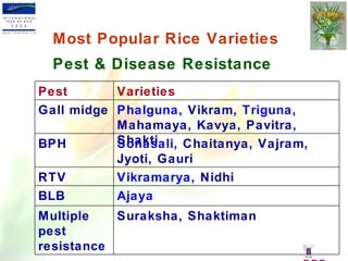 Most Popular Rice Varieties   Pest & Disease Resistance   DRR Ajaya BLB Vikramarya , Nidhi RTV Suraksha, Shaktiman Multipl...