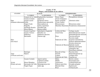 Diagnóstico Municipal Consolidado, San Lorenzo


                                                         Cuadro Nº 55
                                              Plagas y enfermedades de los cultivos
     CULTIVO                               PLAGAS                                    ENFERMEDADES
                          N. COMUN              N. CIENTIFICO               N. COMUN         N. CIENTIFICO
                    Gorgojo de los Andes Ryghopsidius tucumanus        Pasmo Negro            Phytophthora infestans
                    Gusano Cortador      Agrotis sp.                   (Tizón Temprano)
Papa                Gusano Lacato        Peridroma clerica             Pasmo Amarillo         Alternaria solani
(Solanum tuberosum) Polilla              Phythorimaea operculella      (Tizón Tardió)
                    Pulgon Verde         Macrosiphum sp.               Rhizoctoniasis         Rhizoctonia solani
                    Pulguilla            Epitrix argentineri           Marchitez Bacteriana   Pseudomona solanacearum
                    Nemátodo Rosario Nacobbus spp.
                    Mosca Blanca         Bemicia tabaci
                    Gusano Cogollero     Sphodoptera frugiperda        Carbón del Maíz      Ustilago maydis
                    Gusano Tierrero      Heliothis zea                 Tizón Foliar         Helminthosporium maydis
                    Diabrotica           Diabrotica speciosa                                Helminthosporium turcicum
                    Barrenador           Diatreae spp.                 Roya                 Puccinia polysora
                                                                                            Puccinia sorghi
Maíz                                                                   Pudrición de Tallo   Fusarium monoliforme
(Zea mays)                                                                                  Pythium aphanidermathum
                                                                                            Erwinia carotovora
                                                                       Pudrición de Mazorca Diplodia maydis
                                                                                            Diplodia macrospora
                                                                                            Aspergillus spp.
                                                                                            Penicillium oxalicum
                    Hormigas                                           Roya de la Hoja      Puccinia tritici
Trigo               Pájaros                                            Polvillo             Helminthospòrium sp.
(Triticum aestivum)                                                    Carbon               Ustilago tritici
                                                                       Pudrición del Tallo Fusarium sp.
                     Gusano Cortador      Agrotis ipsilon              Moho                 Botritis cinerea
                                          Copitarsia turbata           Mildiu               Peronospora pisi
Arveja               Mosca Minadora       Liriomyza lini               Antracnosis          Colletotrichum pisi
(Pisum sativum)      Barrenador del Tallo Melanagromyza lini           Oidiosis (polvillo)  Erisyphe polygoni
                     Pulgón Negro         Aphis spp.                   Mancha Foliar        Septoria pisi
                                                                       Roya                 Uromyces pisi
                                                                                                                        100
 