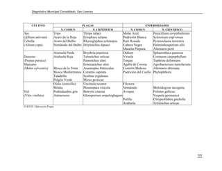 Diagnóstico Municipal Consolidado, San Lorenzo



      CULTIVO                                 PLAGAS                                 ENFERMEDADES
                             N. COMUN              N. CIENTIFICO            N. COMUN         N. CIENTIFICO
Ajo                      Trips                Thrips tabaci            Moho Azul              Penicillium corymbuferum
(Allium sativum)         Acaro de la Hoja     Eriophyes tulipae        Pudrición Blanca       Sclerotium cepivorum
Cebolla                  Acaro del Bulbo      Rhyzoglyphus echinopus   Raíz Rosada            Pyrenochaeta terrestris
(Allium cepa)            Nemátodo del Bulbo   Ditylenchus dipsaci      Cabeza Negra           Helminthosporium allii
                                                                       Mancha Púrpura         Alternaria porri
                         Aranuela Parda     Bryobria praetiosa         Oidium                 Sphaerotheca pannosa
Durazno                  Arañuela Roja      Tetranichus urticae        Viruela                Corineum carpophyllum
(Prunus persica)                            Panonichus ulmi            Torque                 Taphrina deformans
Manzano                                     Eotetranichus ulmi         Agalla de Corona       Agrobacterium tumefaciens
(Malus sylvestris)       Mosca de la Fruta  Anastrepha fraterculus     Corazón Mohoso         Alternaria alternata
                         Mosca Mediterranea Ceratitis capitata         Pudrición del Cuello   Phytophthora
                         Taladrillo         Scolitus rugulosus
                         Pulgón Verde       Mizus persicae
                         Oidio (cenicilla)  Uncinula necator         Filoxera
                         Mildiu             Plasmopara viticola      Nemátodo                 Meloidogyne incognita
Vid                      Podredumbre gris   Botrytis cinerea         Avispas                  Polistes gallicus
(Vitis vinifera)         Antracnosis        Gloesporium ampeloghagum                          Vespula germanica
                                                                     Polilla                  Chryptoblabes gnidiella
                                                                     Arañuela                 Tetranichus urticae
FUENTE: Elaboración Propia




                                                                                                                          101
 
