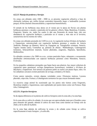 Diagnóstico Municipal Consolidado, San Lorenzo




d.2.2.5. Manejo de praderas y forrajes

En zonas con altitudes entre 1800 - 2000 m, se presenta vegetación arbustiva a base de
chirimolle (schimus sp), tolilla (licium cestroides) duraznillo negro o hediondilla (cestrum
parqui), th'olas (bachais dracumculidolia y eupotorium bunmifolium).

El estrado de las herbáceas muy denso en el verano por la época de lluvias con plantas
herbáceas perennes y anuales y pastizales de los géneros: chloris, Stipa, Bauteloua, Cynodon,
Eragrostis, Setaria, etc. todos los cuales le dan una fisonomía de monte bajo, ralo con
abundancia de vegetación herbácea y pastizales en el verano y más rala en el invierno,
característico de los montes de valles.

En zonas con altitudes promedio de 2.650 m.s.n.m. la vegetación incluye th'olares de bacharis
y Enpatorium, entremezclado con vegetación herbácea perennes y anuales de Amicia
Andicola, Plantago sp (llanten), Salvia sp, Ergugium sp, Tetraglochin cristatum, Senecio,
Tagetes miunta (anís), Conmehua sp, pasturas de alturas : Muhlenbergia, Calamagrostis
tormensis, Schysachirium tenerum, licurur pheloides, eragrostis, Digitania, Sporobolus,
Bothriochloa.

En altitudes cercanas a los 3000 m.s.n.m., existen pastizales bajos, ralamente o escasamente
distribuidas entremezcladas con especies herbáceas perennes como Menodora, Senecio,
Evolvulus.

En los pequeños cañadones protegidos que bajan hacia una planicie, hay mayor cobertura de
vegetación tanto graminosa: sevinga (lamprotusus hyeronimus), cortadera y th’olares de
Baccharis y Enpatorium. Son terrenos de pastoreo pobre en suelos con pastos bajos, ralos. En
los cañadones cercanos existen pastizales de sevinga, cortadera y th’olares.

Como pastos naturales, existen algunas variedades como: Eliomurus muticus, Lycurus
pheoides, stipa ichu. Festuca y Calamagrostis tormensis los que crecen formando matas.

La excesiva carga animal ha ocasionado que los pastos más tiernos como Eragrostis,
Bouteloua simplex y leguminosas, sean suplantados por pastos duros como son Festuca, Stipa
ichu, Calamagrostis.

d.2.2.5.1. Especies forrajeras

Se da alguna diferencia en la práctica de cultivos forrajeros entre la zona alta y la zona baja.

En la zona alta se cultiva la cebada y la avena que son aprovechadas tanto por el hombre como
para alimento del ganado, además el cultivo de maíz tiene como destino ser forraje solo de
chala y de la caña de la planta.

En la zona baja además de cultivarse la avena y de cebada como forraje se cultiva
específicamente el maíz forrajero y la alfa alfa.


                                                                                                   107
 