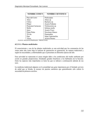 Diagnóstico Municipal Consolidado, San Lorenzo




                   NOMBRE COMUN                  NOMBRE CIENTIFICO

                 Pino del Cerro               Podocarpus
                 Alizo                        Alnus sp.
                 Chilca                       Bacharis sp.
                 Palqui                       Acacia Fedeana
                 Pasacana-Cactaceas           Trichocerens sp.
                 Molle                        Schinus molle
                 Jarca                        Acacia Visco
                 Palan Palan                  Nicotiana Glauca
                 Th’ola                       Paratrephia
                 Paja                         Stipa Leptostachia
                 Tusca                        Acacia Oromo
    FUENTE: Dirección de Planificación – PREFECTURA


d.2.3.1.1. Plantas medicinales

El conocimiento y uso de las plantas medicinales es una actividad que los comunarios de las
zonas tanto alta como baja la realizan de generación en generación, de manera tradicional y
según las necesidades y enfermedades que se presentan en diferentes épocas del año.

Esta actividad no representa ni causa ningún daño a las condiciones del medio ambiente por
existir en grandes proporciones, brindando grandes beneficios a los habitantes de la Sección.
Entre las especies más importantes se tiene las que se indican a continuación además de sus
usos.

La medicina tradicional adquiere en la actualidad una gran importancia por el limitado servicio
de salud que se brinda, la escasez de puestos sanitarios que generalmente sólo cubren la
necesidad de primeros auxilios.




                                                                                           112
 
