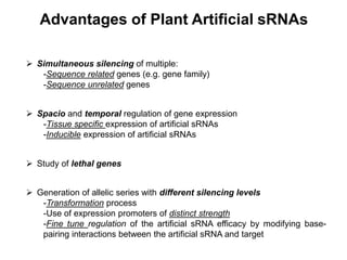 Advantages of Plant Artificial sRNAs
 Spacio and temporal regulation of gene expression
-Tissue specific expression of artificial sRNAs
-Inducible expression of artificial sRNAs
 Study of lethal genes
 Simultaneous silencing of multiple:
-Sequence related genes (e.g. gene family)
-Sequence unrelated genes
 Generation of allelic series with different silencing levels
-Transformation process
-Use of expression promoters of distinct strength
-Fine tune regulation of the artificial sRNA efficacy by modifying base-
pairing interactions between the artificial sRNA and target
 