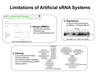 Limitations of Artificial sRNA Systems
1. Design (WMD3):
-Non-intuitive interface
-Relatively slow
-No syn-tasiRNA design tool
http://wmd3.weigelworld.org/
1st PCR
amiRNA insert
2nd PCR
BamHI cut
EcoRI cut
Gel purification
Gel purification
Entry vector
Cut pBSK vector with EcoRI
Alkaline Phosphatase treatment
Gel purification
BamHI cut
Entry plasmid
Mini-prep
Pick up positive colony
Confirm the sequencing
Ligation
Transform into E. coli
Entry plasmid
Binary vector
Binary plasmid
Cut with restriction enzyme(s)
Gel purification
Mini-prep
Pick up positive colony
Confirm the replacement of the fragment
Transform into Agro
Ligation
Transform into E. coli
Cut with restriction enzyme(s)
Alkaline Phosphatase treatment
Gel purification2. Cloning:
-Long and slow (multi-step)
-Non cost-effective
-Non-high throughput capability
-Lack of convenient syn-tasiRNA
cloning systems
Schwabb et al., Plant Cell (2006)
3. Expression:
-Frequent miss-processing of
amiRNAs (-> off target effects!)
1 2 3 4 5 6 7 8 9
amiRNAs
-21 nt
 