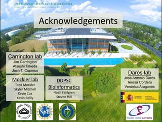 Acknowledgements
Mockler lab
Todd Mockler
Skyler Mitchell
Kevin Cox
Kevin Reilly
DDPSC
Bioinformatics
Noah Fahlgren
Steven Hill
Carrington lab
Jim Carrington
Atsushi Takeda
Josh T. Cuperus
Daròs lab
José Antonio Daròs
Teresa Cordero
Verónica Aragonés
 