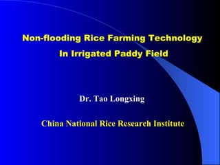 Non-flooding Rice Farming Technology  In Irrigated Paddy Field China National Rice Research Institute Dr. Tao Longxing 