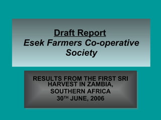 Draft Report   Esek Farmers Co-operative Society RESULTS FROM THE FIRST SRI HARVEST IN ZAMBIA, SOUTHERN AFRICA 30 TH  JUNE, 2006 