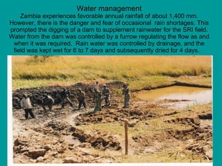 Water management Zambia experiences favorable annual rainfall of about 1,400 mm. However, there is the danger and fear of ...