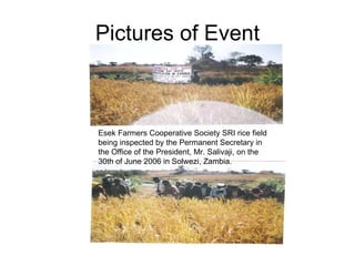 Pictures of Event Esek Farmers Cooperative Society SRI rice field being inspected by the Permanent Secretary in the Office of the President, Mr. Salivaji, on the 30th of June 2006 in Solwezi, Zambia.  