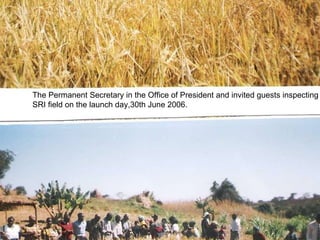 The Permanent Secretary in the Office of President and invited guests inspecting SRI field on the launch day,30th June 2006.  