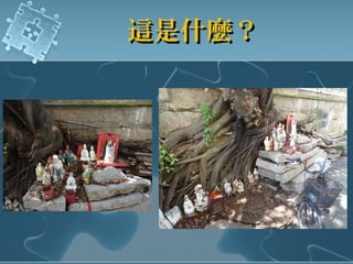 這是什麼？這是什麼？
 