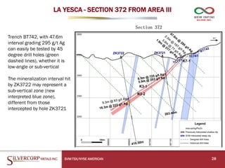 LA YESCA - SECTION 372 FROM AREA III
Trench BT742, with 47.6m
interval grading 295 g/t Ag
can easily be tested by 45
degree drill holes (green
dashed lines), whether it is
low-angle or sub-vertical
The mineralization interval hit
by ZK3722 may represent a
sub-vertical zone (new
interpreted blue zone),
different from those
intercepted by hole ZK3721
28
SVM:TSX/NYSE AMERICAN
 