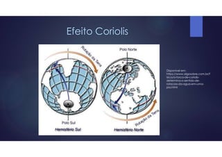 Efeito Coriolis
Disponível em:
https://www.algosobre.com.br/f
isica/a-forca-de-coriolis-
determina-o-sentido-de-
rotacao-da-agua-em-uma-
pia.html
 