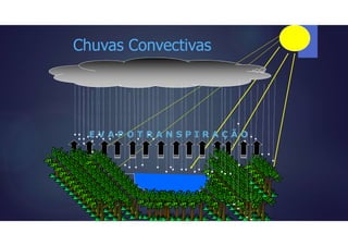 E V A P O T R A N S P I R A Ç Ã O
Chuvas Convectivas
 
