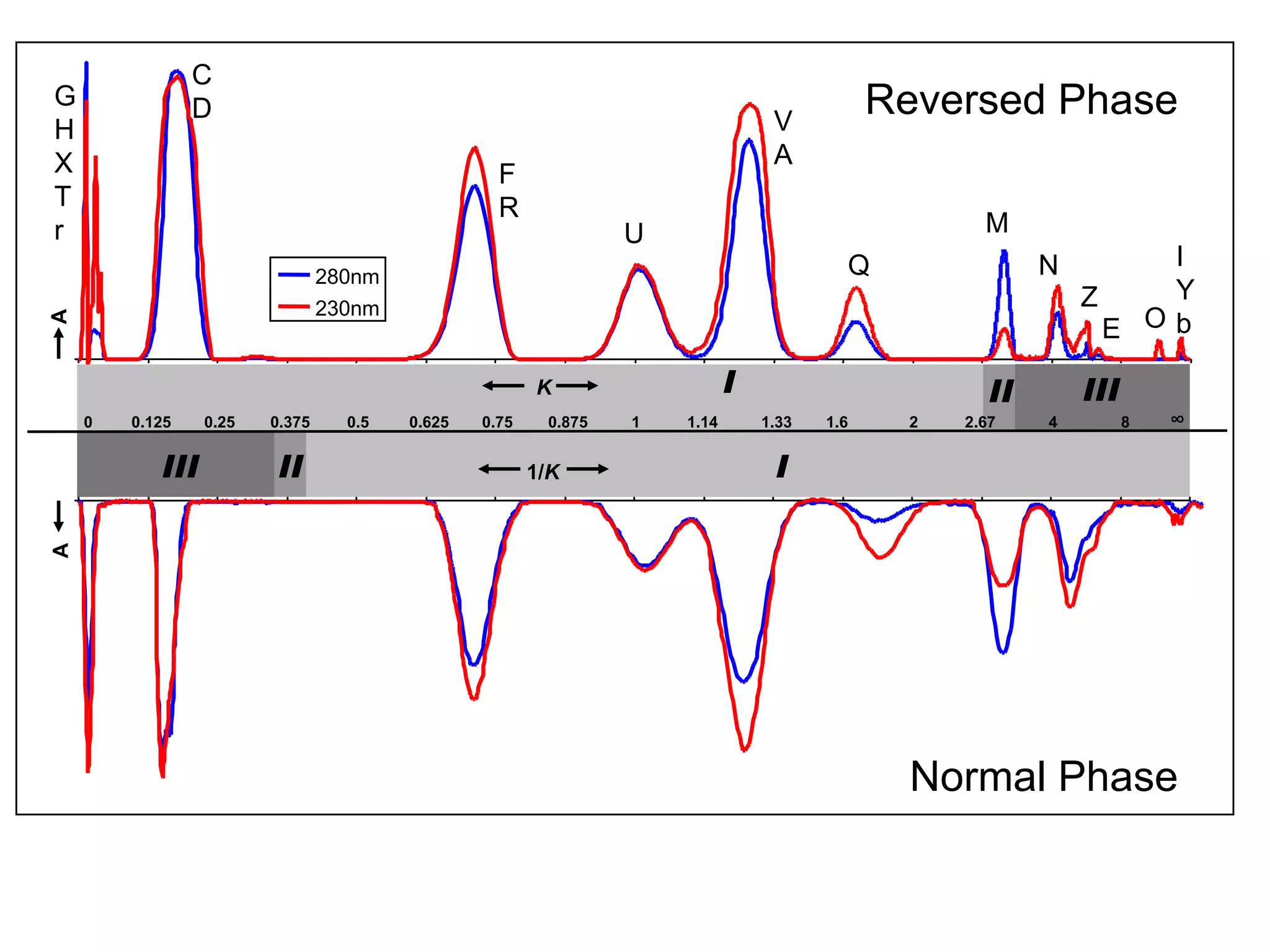 A
280nm
230nm
A
K
0 0.125 0.25 0.375 0.5 0.625 0.75 0.875 1 1.14 1.33 1.6 2 2.67 4 8 ∞
IIII II
IIIII I1/K
Reversed Phase
Normal Phase
G
H
X
T
r
C
D
F
R
U
V
A
Q
M
N
Z
E O
I
Y
b
 