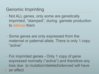 Genomic Imprinting 
• Not ALL genes, only some are genetically 
imprinted, “stamped”, during gamete production 
to silence them 
• Some genes are only expressed from the 
maternal or paternal allele. There is only 1 copy 
“active” 
• For imprinted genes - Only 1 copy of gene 
expressed normally (“active”) and therefore any 
loss due to mutation/deleted/silenced will have 
an effect 
 