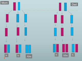 Dad 
Mom 
N Abn Abn 
 