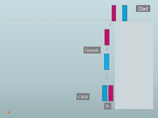 Dad 
Meiosis 
PraderWilli 
Child 
 