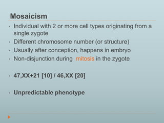 Mosaicism 
• Individual with 2 or more cell types originating from a 
single zygote 
• Different chromosome number (or structure) 
• Usually after conception, happens in embryo 
• Non-disjunction during mitosis in the zygote 
• 47,XX+21 [10] / 46,XX [20] 
• Unpredictable phenotype 
 