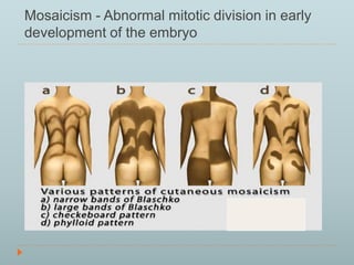 Mosaicism - Abnormal mitotic division in early 
development of the embryo 
 