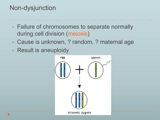 Non-dysjunction 
• Failure of chromosomes to separate normally 
during cell division (meiosis) 
• Cause is unknown, ? random, ? maternal age 
• Result is aneuploidy 
 