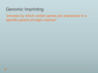 Genomic Imprinting 
“process by which certain genes are expressed in a 
specific parent-of-origin manner” 
 