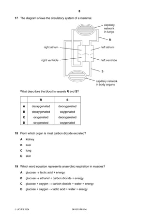 8
17 The diagram shows the circulatory system of a mammal.

capillary
network
in lungs
R
right atrium

left atrium

right ventricle

left ventricle

S
capillary network
in body organs
What describes the blood in vessels R and S?
R

S

A

deoxygenated

deoxygenated

B

deoxygenated

oxygenated

C

oxygenated

deoxygenated

D

oxygenated

oxygenated

18 From which organ is most carbon dioxide excreted?
A

kidney

B

liver

C

lung

D

skin

19 Which word equation represents anaerobic respiration in muscles?
A

glucose → lactic acid + energy

B

glucose → ethanol + carbon dioxide + energy

C

glucose + oxygen → carbon dioxide + water + energy

D

glucose + oxygen → lactic acid + water + energy

 UCLES 2004

0610/01/M/J/04

 